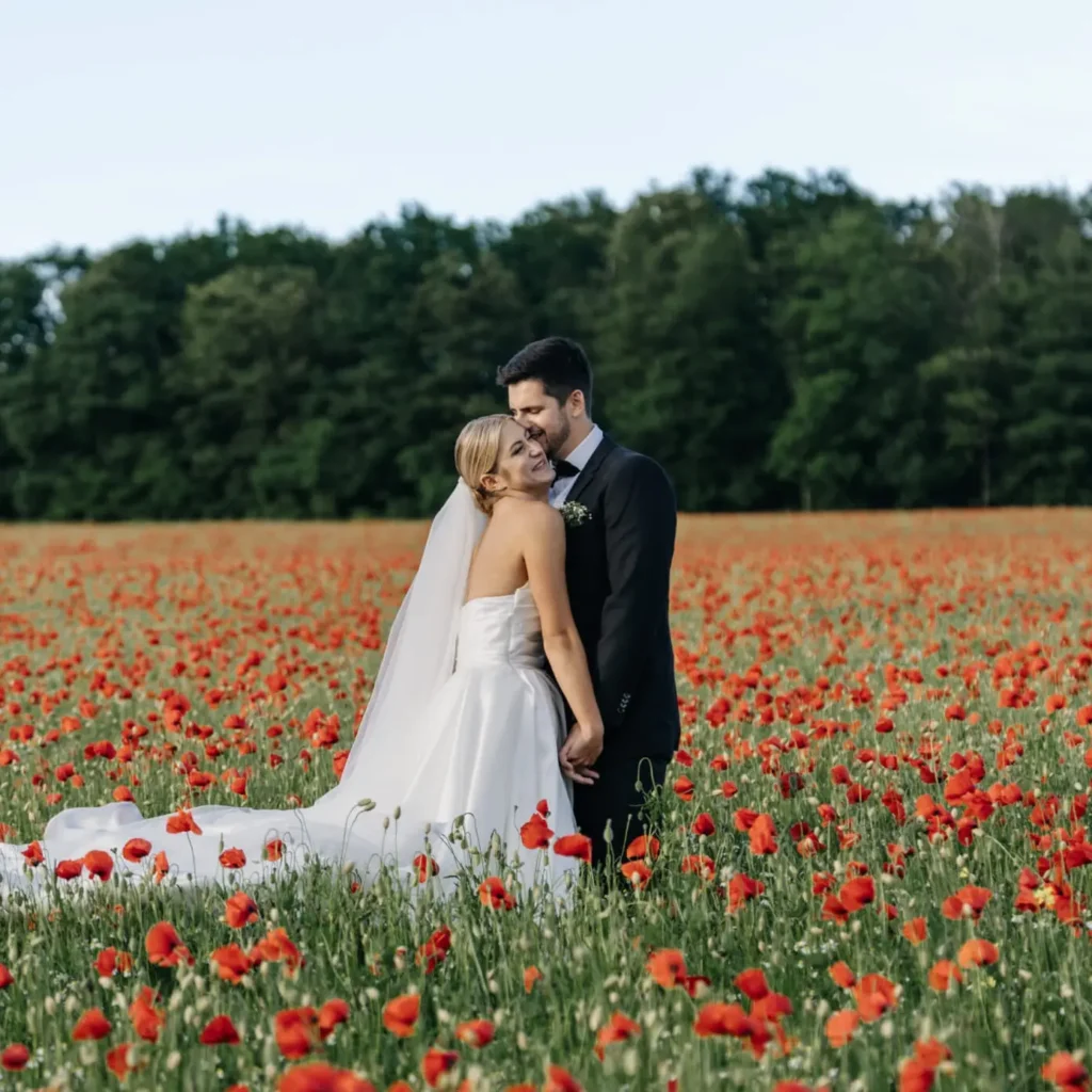 Foto & Video | OurSilentWorld 1